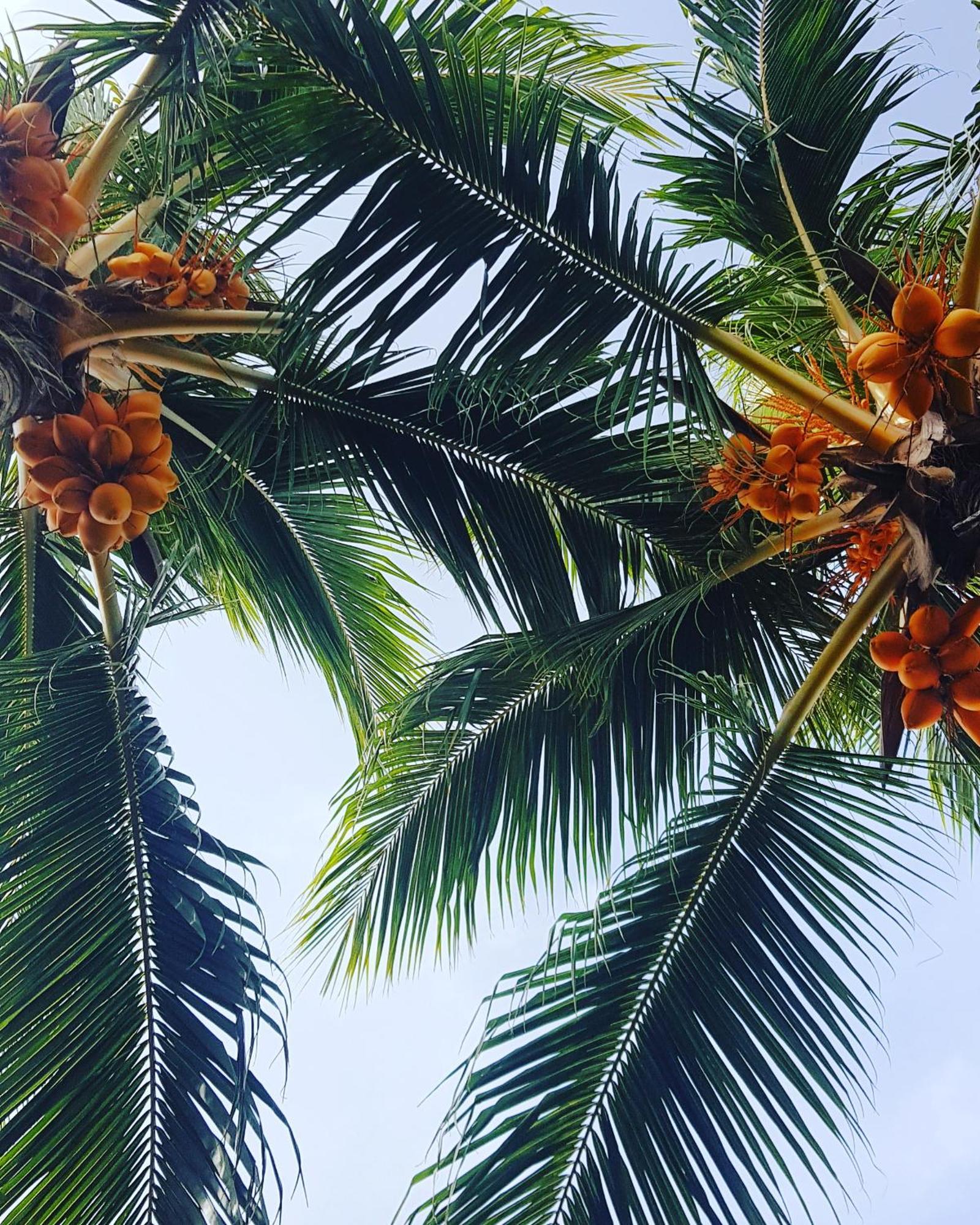 คามาดูอินน์ Kamadhoo ภายนอก รูปภาพ