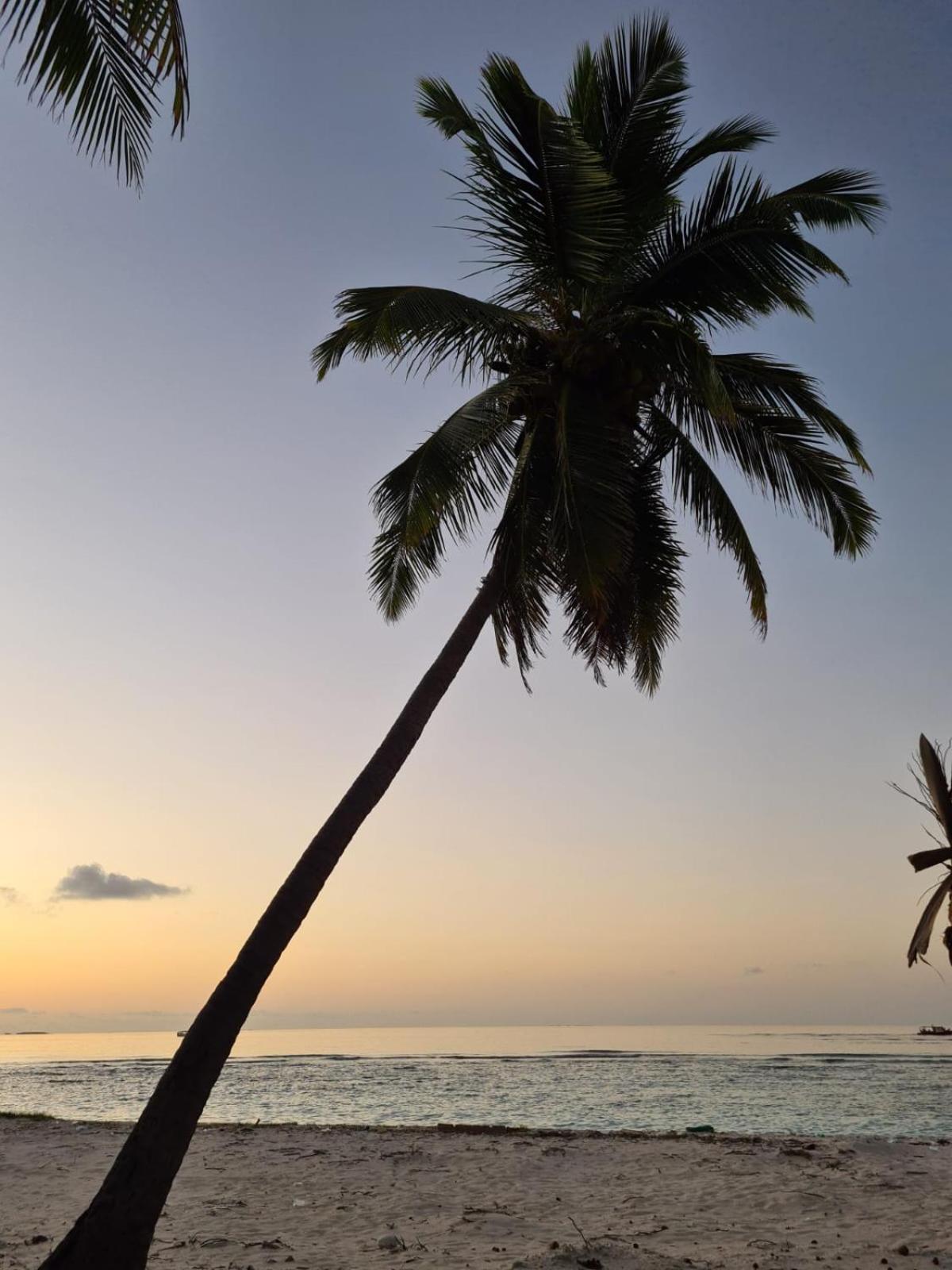 คามาดูอินน์ Kamadhoo ภายนอก รูปภาพ